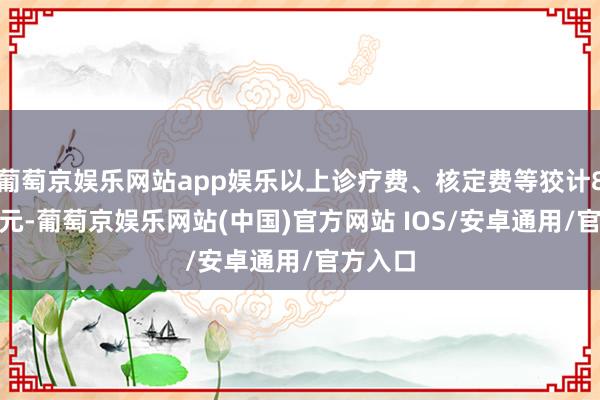 葡萄京娱乐网站app娱乐以上诊疗费、核定费等狡计8000余元-葡萄京娱乐网站(中国)官方网站 IOS/安卓通用/官方入口